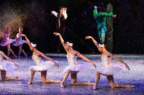 National Dance Company Perform The Swan Lake In Mexico City