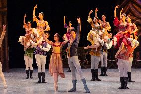 National Dance Company Perform The Swan Lake In Mexico City