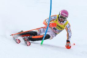 SPORT INVERNALI - Sci Alpino - FIS Alpine World Ski Championships - Men's Slalom
