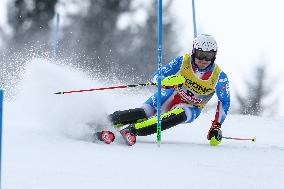 SPORT INVERNALI - Sci Alpino - FIS Alpine World Ski Championships - Men's Slalom