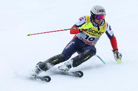 SPORT INVERNALI - Sci Alpino - FIS Alpine World Ski Championships - Men's Slalom