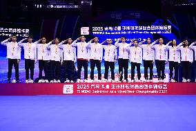 TSINGTAO Badminton Asia Mixed Team Championship 2025 Finals