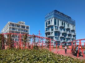 Playground And Outdoor Gym In Copenhagen