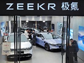 Chinese New Energy Vehicles