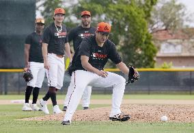 Baseball: MLB spring training