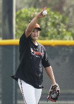 Baseball: MLB spring training