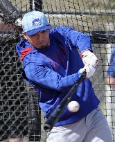 Baseball: MLB spring training