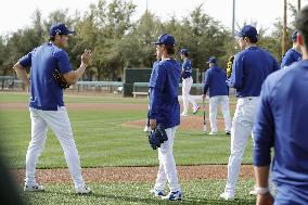 Baseball: MLB spring training