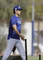 Baseball: MLB spring training
