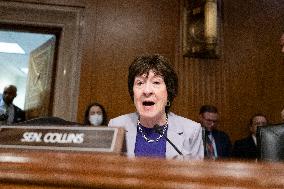Linda E. McMahon Confirmation Hearing to be US Secretary of Education