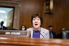 Linda E. McMahon Confirmation Hearing to be US Secretary of Education