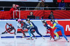 SPORT INVERNALI - Pattinaggio sul Ghiaccio - ISU World Tour Short Track - Milano 2025