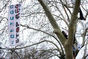 A69 Highway: 'Ecureuils' Occupy Trees In Front Of The Administrative Court Of Toulouse