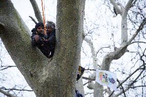 A69 Highway: 'Ecureuils' Occupy Trees In Front Of The Administrative Court Of Toulouse