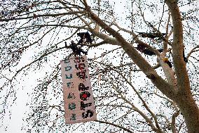 A69 Highway: 'Ecureuils' Occupy Trees In Front Of The Administrative Court Of Toulouse