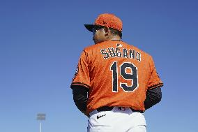 Baseball: MLB spring training