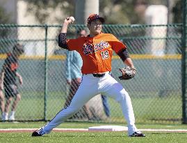 Baseball: MLB spring training