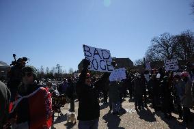 Anti-Trump Protest - DC