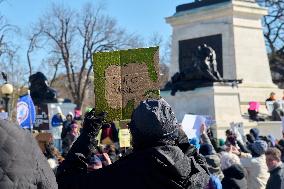 Anti-Trump Protest - DC