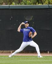 Baseball: MLB spring training
