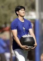 Baseball: MLB spring training