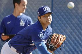 Baseball: MLB spring training