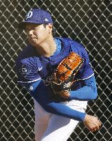 Baseball: MLB spring training