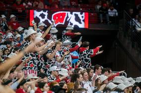 Wisconsin Badgers Vs. Illinois Fighting Illini