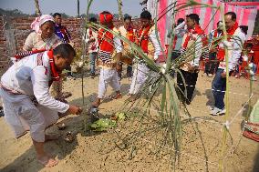 Ali-Aye-Ligang Festival  In Assam