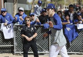 Baseball: MLB spring training