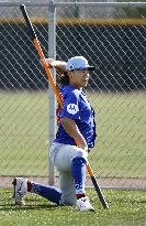 Baseball: MLB spring training