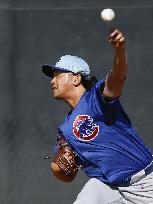 Baseball: MLB spring training