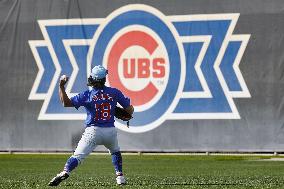 Baseball: MLB spring training