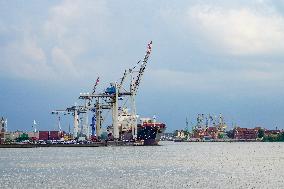 Freight Cranes In The Port Of Hamburg