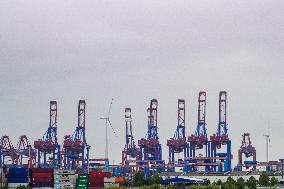 Freight Cranes In The Harbor Of Hamburg