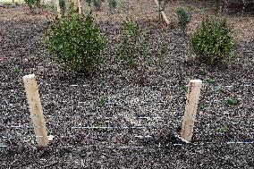 Construction Of A New Green Space In Lyon