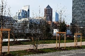 Construction Of A New Green Space In Lyon