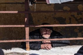 Residents Forced To Hide In The Basements Of Their Houses - Liman