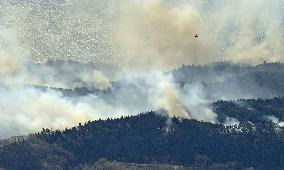 Forest fire in northeastern Japan