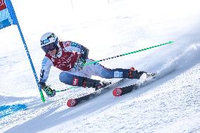 SPORT INVERNALI - Sci Alpino - AUDI FIS Ski World Cup - Giant Slalom - Women
