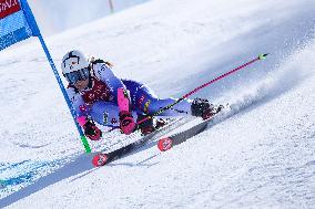 SPORT INVERNALI - Sci Alpino - AUDI FIS Ski World Cup - Giant Slalom - Women