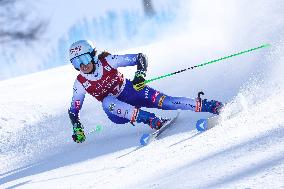 SPORT INVERNALI - Sci Alpino - AUDI FIS Ski World Cup - Giant Slalom - Women