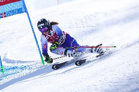 SPORT INVERNALI - Sci Alpino - AUDI FIS Ski World Cup - Giant Slalom - Women