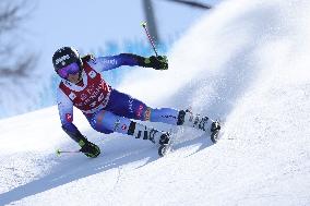 SPORT INVERNALI - Sci Alpino - AUDI FIS Ski World Cup - Giant Slalom - Women