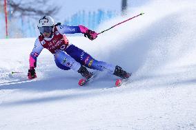 SPORT INVERNALI - Sci Alpino - AUDI FIS Ski World Cup - Giant Slalom - Women