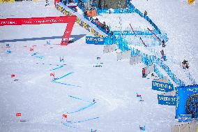 SPORT INVERNALI - Sci Alpino - AUDI FIS Ski World Cup - Giant Slalom - Women