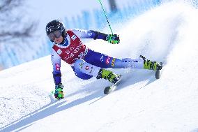 SPORT INVERNALI - Sci Alpino - AUDI FIS Ski World Cup - Giant Slalom - Women