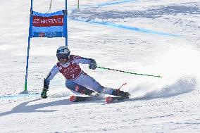 SPORT INVERNALI - Sci Alpino - AUDI FIS Ski World Cup - Giant Slalom - Women
