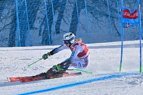 SPORT INVERNALI - Sci Alpino - AUDI FIS Ski World Cup - Giant Slalom - Women