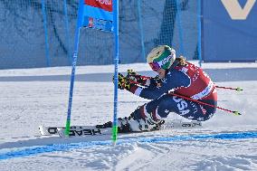 SPORT INVERNALI - Sci Alpino - AUDI FIS Ski World Cup - Giant Slalom - Women